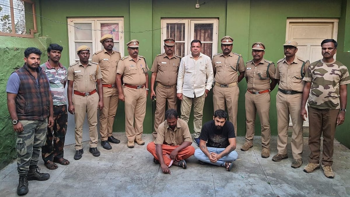 “மசினகுடி யானைக்கு தீ வைத்தவரின் ரிசார்ட்க்கு சீல்” : உரிமம் இல்லாமல் விடுதியை நடத்தியது அம்பலம்!