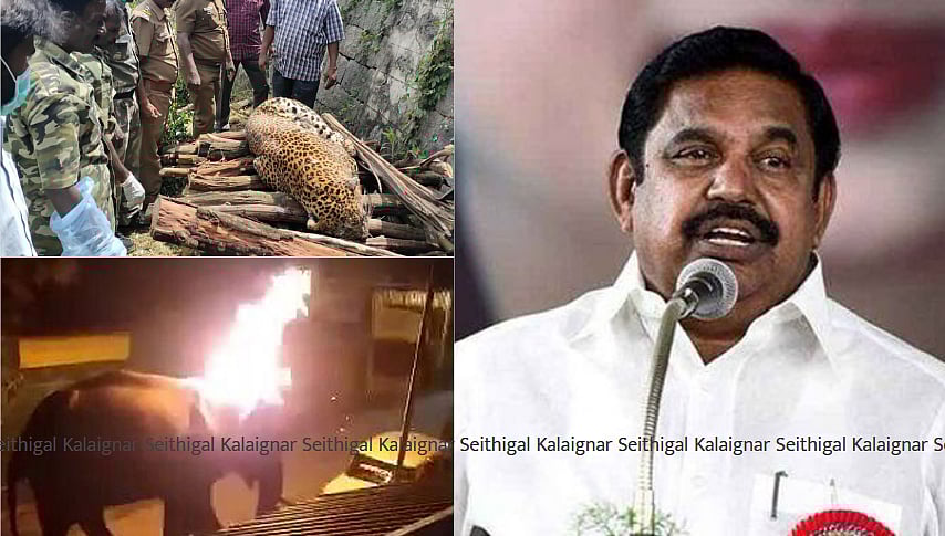 “4 மாதங்களில் அதிகரித்த வனக்குற்றங்கள்; கண்டுகொள்ளாத எடப்பாடி அரசு”: கொந்தளிக்கும் சமூக ஆர்வலர்கள்!