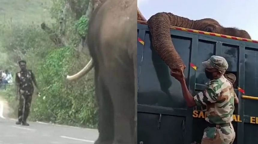 “இனி யாருக்கு பழம் கொடுப்பேன்? திரும்பிவாடா..” : இறந்த யானையை கட்டிப்பிடித்து அழுத பெள்ளன் - யார் இவர்?