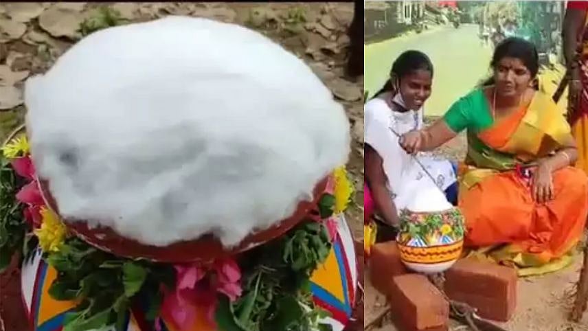 “பொங்கலுக்கு பதில் இளவம்பஞ்சு பொங்குவது போல செட்டப்” : சினிமா பாணியில் பொங்கல் விழா நடத்திய பா.ஜ.க !