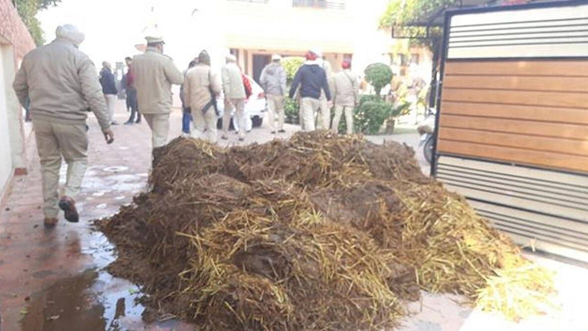 போராட்டத்தைக் கொச்சைப்படுத்தி பேசிய பா.ஜ.க தலைவர் வீட்டு முன்பு சாணத்தை கொட்டி விவசாயிகள் பதிலடி!