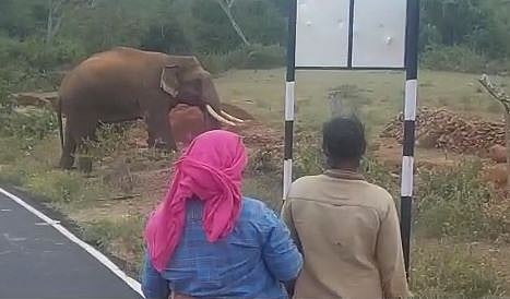  மின் வேலியில் சிக்கி பலியாகும் வன விலங்குகள்..  முதல் முறையாக விழிப்புணர்வு பிரசாரம் செய்த வனத்துறை!