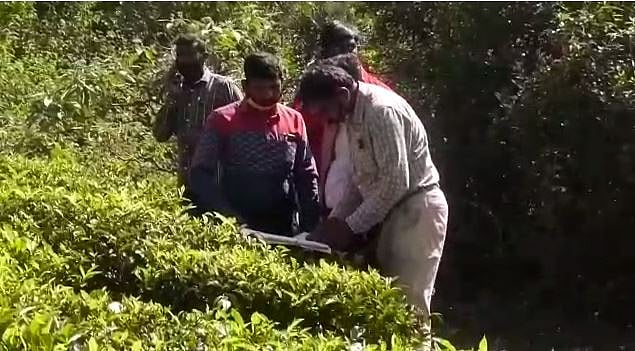 “50 ஆண்டுகளாக அரசு நிலத்தை ஆக்கிரமித்து தோட்டம் அமைப்பு”: கூகுள் மூலம் உண்மையை வெளிக்கொண்டு வந்த விவசாயி!