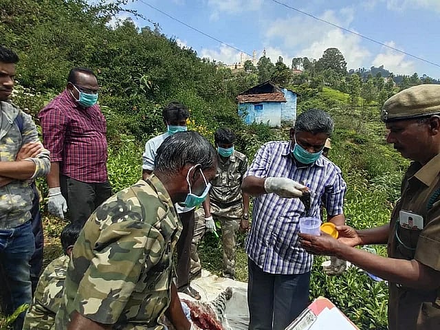 “4 மாதங்களில் அதிகரித்த வனக்குற்றங்கள்; கண்டுகொள்ளாத எடப்பாடி அரசு”: கொந்தளிக்கும் சமூக ஆர்வலர்கள்!