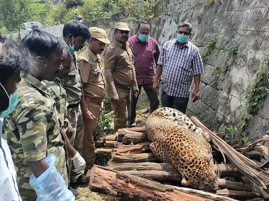 “4 மாதங்களில் அதிகரித்த வனக்குற்றங்கள்; கண்டுகொள்ளாத எடப்பாடி அரசு”: கொந்தளிக்கும் சமூக ஆர்வலர்கள்!