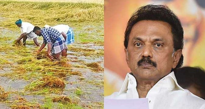 அறுவடையின் போது நீரில் மூழ்கிய பயிர்கள்.. கையறு நிலையில் விவசாயிகள்..வேடிக்கை பார்க்கும் அரசுக்கு கண்டனம்