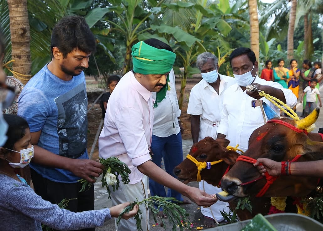 குடும்பத்துடன் மாட்டுப் பொங்கல் திருநாளைக் கொண்டாடினார் தி.மு.க தலைவர் மு.க.ஸ்டாலின் | Photos