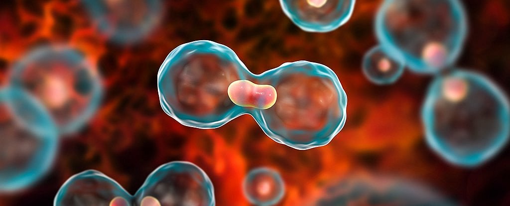 Cancer Day: மார்பக புற்றுநோயில் முன்னிலை வகிக்கும் தமிழகம்... சுகாதாரத்துறை விருது பெற்ற லட்சணம் இதுதான்!