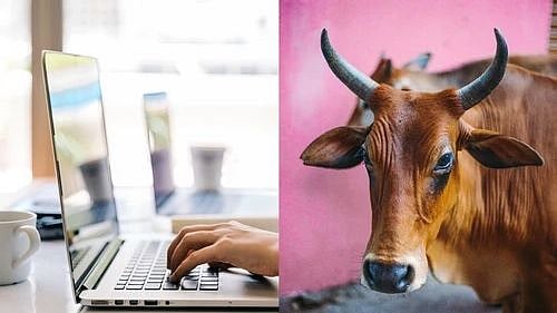 “பசு சாணம் சர்வரோக நிவாரணியாம்”: அறிவியலுக்கு புறம்பாக ‘பசு அறிவியல்’ பாடத்திட்டத்தை வெளியிட்ட மோடி அரசு!