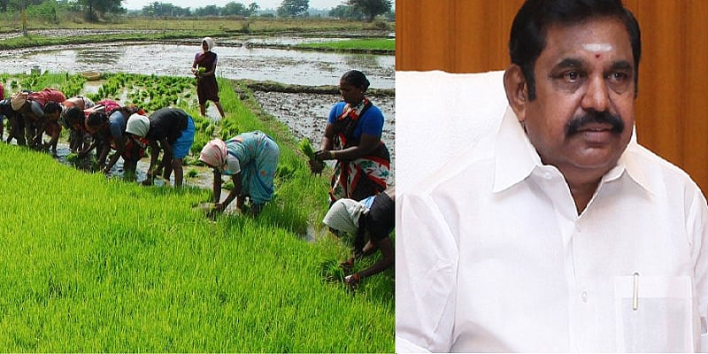 “அ.தி.மு.கவினர் பலனடைவதற்காக பயிர்க் கடன் தள்ளுபடியா?” : விவசாயிகளை ஏமாற்றும் எடப்பாடி அரசு ! 