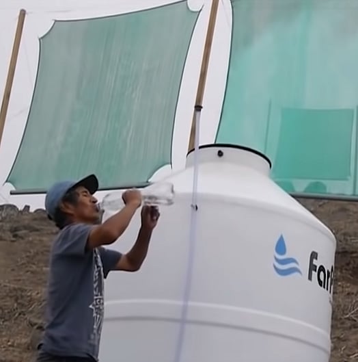 காற்றை தண்ணீராக மாற்றும் வண்டு : விவசாயத்தில் அறிவியலின் அடுத்த பாய்ச்சல் !