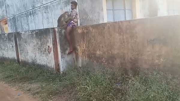 சேட்டை குரங்கிடம் தப்பிக்க சிலையாக உறைந்த சிறுவன்: விருதுநகரில் சுவாரஸ்யம்! (வீடியோ)