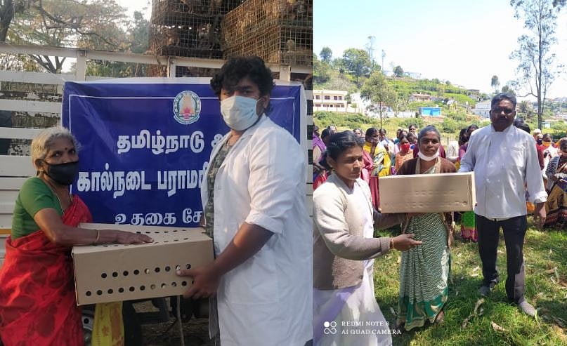 நீலகிரியில் கால்நடை துறை பேரில் வாக்குக்காக கோழி, ஆடுகளை வழங்கும் அதிமுக: தேர்தல் ஆணையத்தில் திமுக புகார்