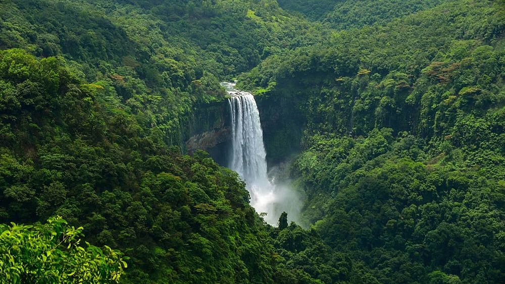 “பசுமையான கோவா, இனி வறண்ட பாலைவனம்?”: இரட்டை ரயில்பாதைக்கு அனுமதி கொடுத்த மோடி அரசின் சுற்றுச்சூழல் துறை!