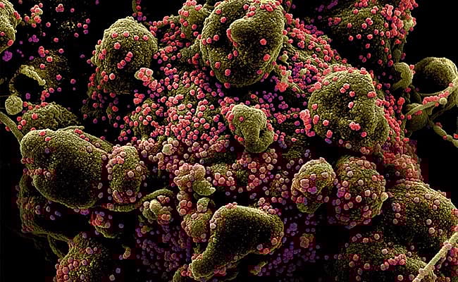 இந்தியாவில் பரவிவரும் ‘மும்முறை உருமாறிய கொரோனா’... தடுப்பூசி பலனளிக்குமா? - ஆய்வாளர்கள் எச்சரிக்கை!