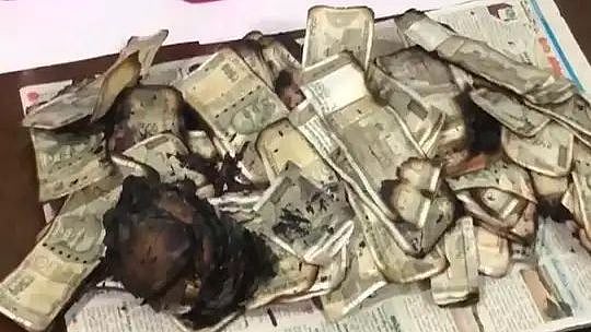 கதவைத் தட்டிய அதிகாரிகள்; லஞ்சப் பணம் 5 லட்சத்தைக் கொளுத்தி  கையும் களவுமாக பிடிபட்ட தாசில்தார்!