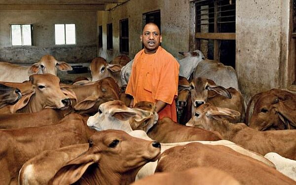 ஆக்சிஜன் இன்றி சாகும் மக்கள்... பசுக்களுக்கு பல்ஸ் ஆக்ஸிமீட்டர் சோதனை... இதுதான் கொரோனா நடவடிக்கையா யோகி?