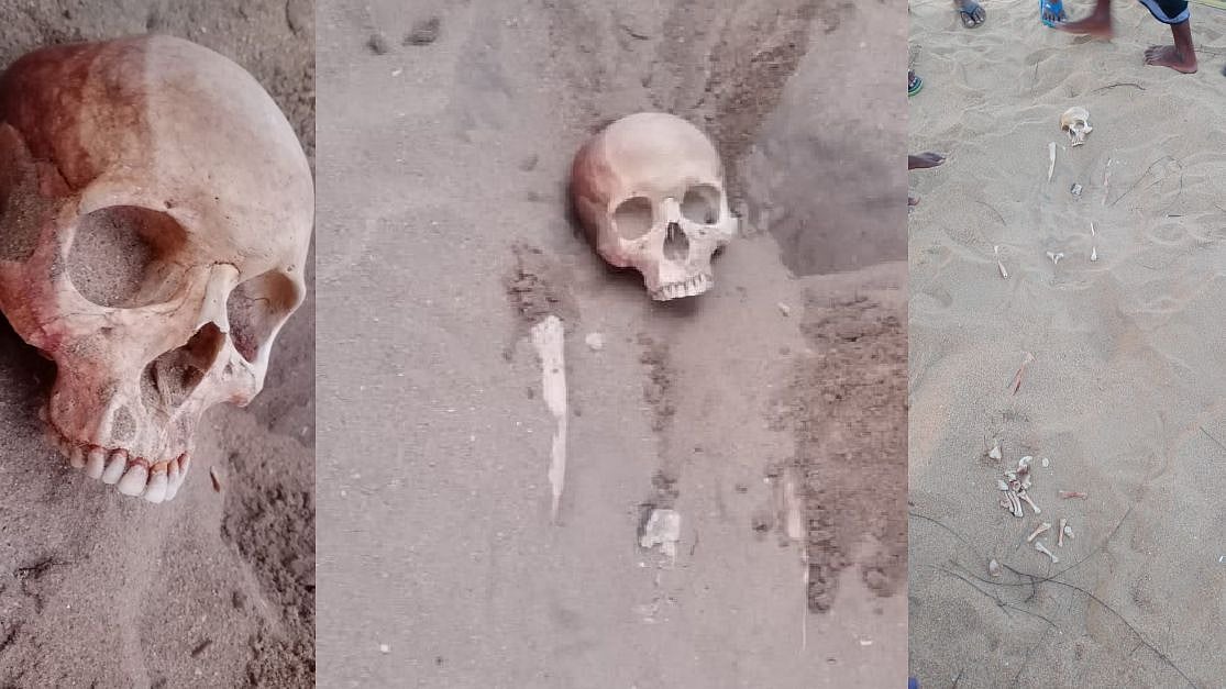 “பள்ளி வளாகத்தில் மனித எலும்பு
கூடுகள் கண்டெடுப்பு” : 
நரபலி கொலையா என்ற கோணத்தில் போலிஸார் விசாரணை!