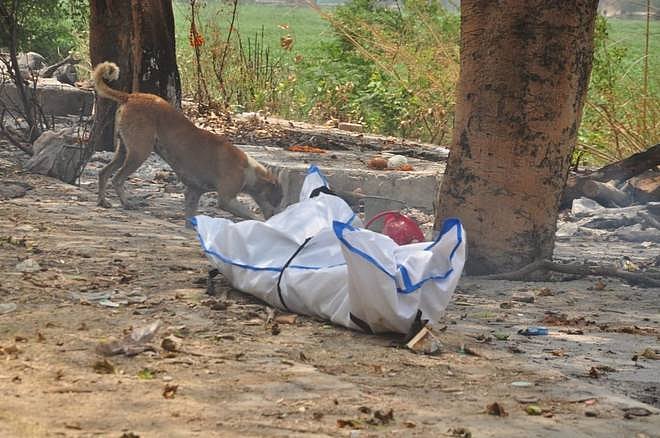 “காப்பாற்றவும் வக்கில்லை.. எரிக்கவும் வழியில்லை”- கொரோனாவால் பலியானவரின் சடலத்தைக் கடித்துக் குதறிய நாய்!