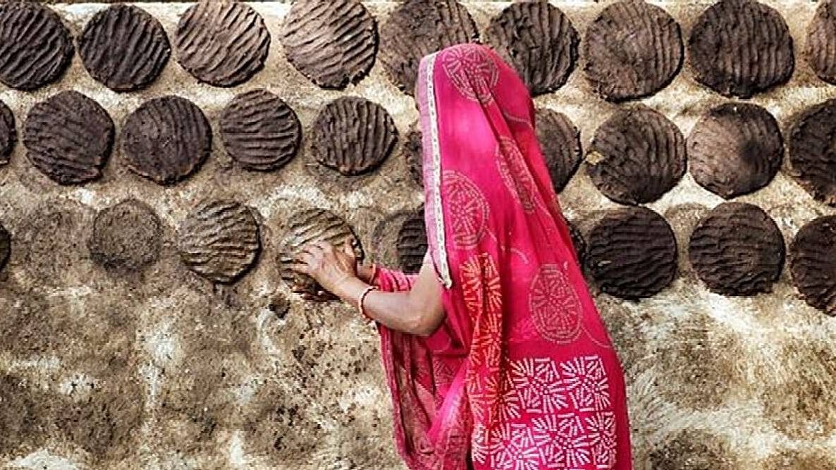 சத்தீஸ்கரில் 800 கிலோ மாட்டுச் சாணம் திருட்டு.. மர்ம நபர் மீது போலிஸ் வழக்குப் பதிவு !