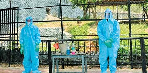 “சிங்கங்களை தவிர மற்ற விலங்குகளுக்கு கொரோனா தொற்று ஏற்படவில்லை”: வனத்துறை அமைச்சர் ராமச்சந்திரன் பேட்டி!
