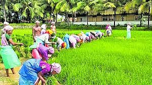 விவசாயிகளின் நலனுக்காக ரூ.61.09 கோடி மதிப்பீட்டில் சிறப்பு திட்டம் - முதலமைச்சர் மு.க.ஸ்டாலின் அறிவிப்பு!