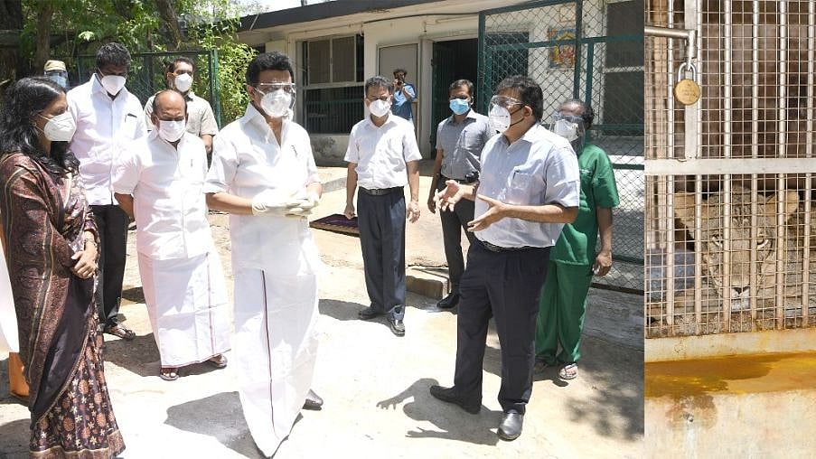 "சிங்கங்களுக்கு கொரோனா தொற்று” - வண்டலூர் உயிரியல் பூங்காவில் ஆய்வு மேற்கொண்ட முதலமைச்சர் மு.க.ஸ்டாலின்!