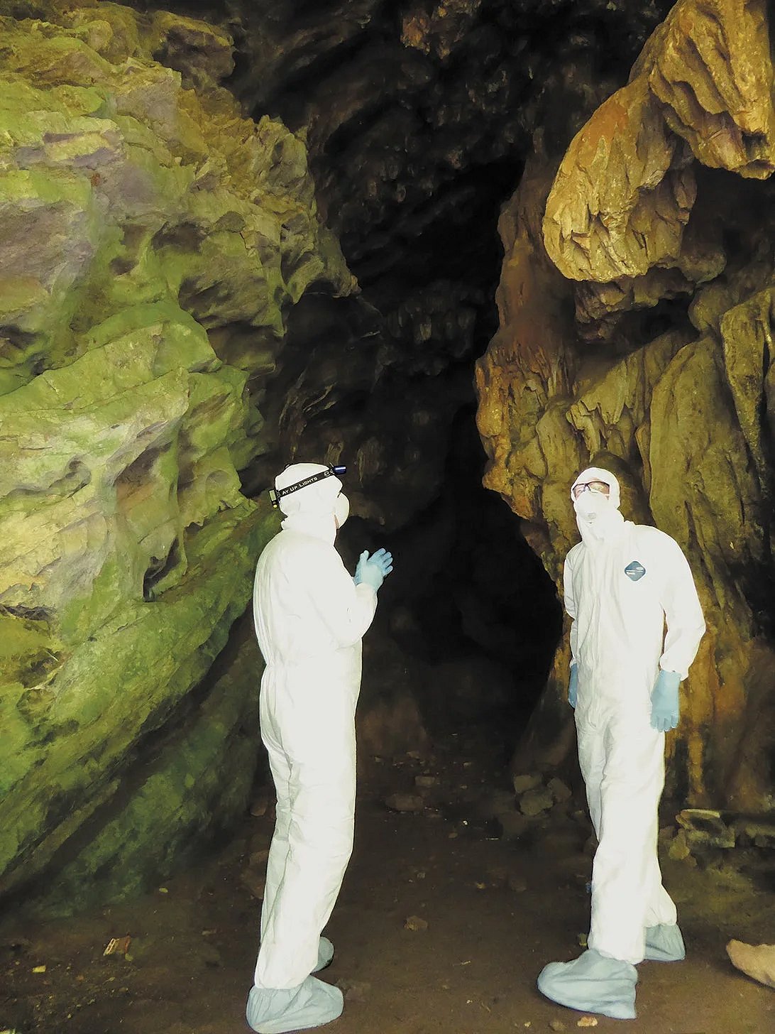 “கொரோனா வைரஸ் சீனாவால் பரப்பப்பட்டதா?” : ‘Bio Weapon’ சூழ்ச்சி குறித்து இந்திய விஞ்ஞானிகள் ஆராய்ச்சி!