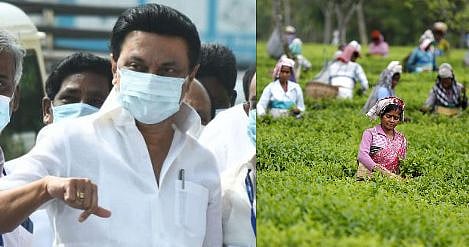 சத்தமில்லாமல் லட்சக்கணக்கான தேயிலை தொழிலாளர்களின் வாழ்வில் ஒளியேற்றிய முதலமைச்சர் மு.க.ஸ்டாலின்!