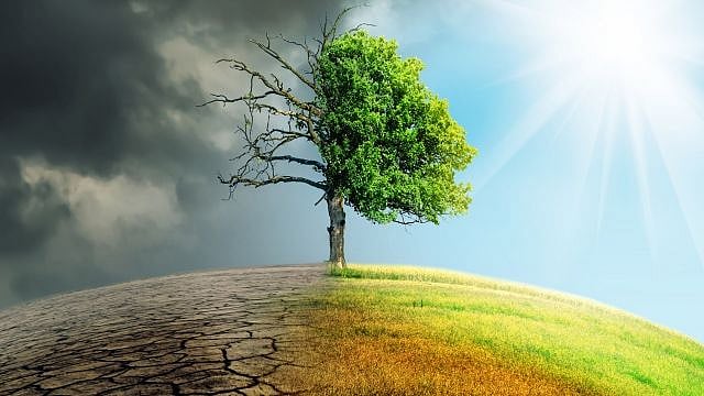 எச்சரிக்கை... ஆறாம் பேரழிவுக்கு மத்தியில் நாம் தற்போது இருக்கிறோம் ! | #WorldEnvironmentDay