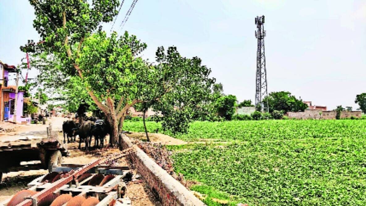 “மாடுகளைக் கடத்தியதாக கூறி இஸ்லாமியரை சுட்டுக்கொலை செய்த இந்துத்வா கும்பல்”: உ.பியில் தொடரும் அட்டூழியம்!
