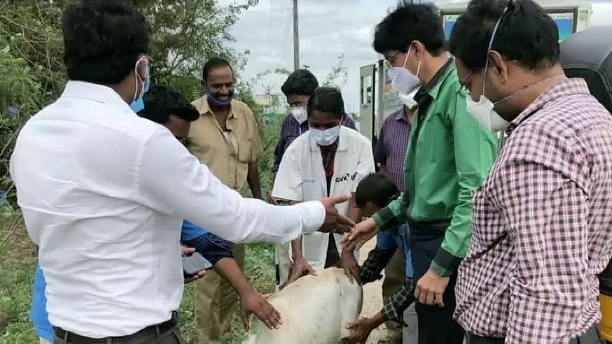 “சாலையில் அடிபட்ட கன்றுக்குட்டிக்கு முதலுதவி சிகிச்சை அளித்த ராதாகிருஷ்ணன்” : குவியும் பாராட்டு!