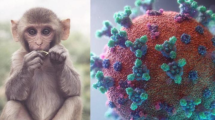 முடிவுக்கு வராத கொரோனா; சீனாவில் இருந்து பரவுகிறதா புதிய ரக வைரஸ்? - உலக நாடுகள் பீதி!