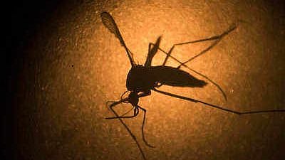 “கொரோனாவே இன்னும் ஓயவில்லை.. அதற்குள் அச்சுறுத்தும் ‘ஜிகா’ வைரஸ்” : கேரளாவில் 14 பேர் பாதிப்பு!