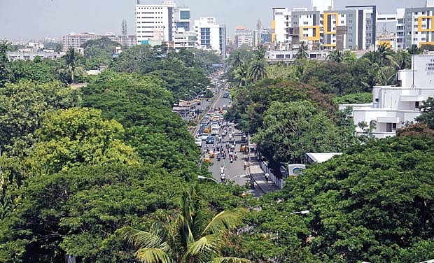 ”ஒவ்வொரு குடியிருப்பு சங்கமும் ஆண்டுக்கு 500 மரம் நட வேண்டும்” - வழிமுறைகளை பட்டியலிட்ட ககன்தீப்சிங் பேடி