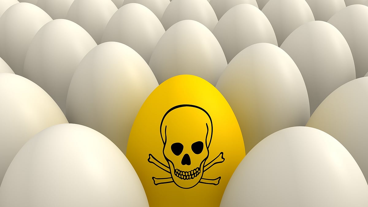 முட்டையில் முதலீடு; 4.5 லட்சத்தை சுருட்ட எத்தனித்த பலே நிறுவனம்; சென்னையில் கையும் களவுமாக பிடித்த போலிஸ்