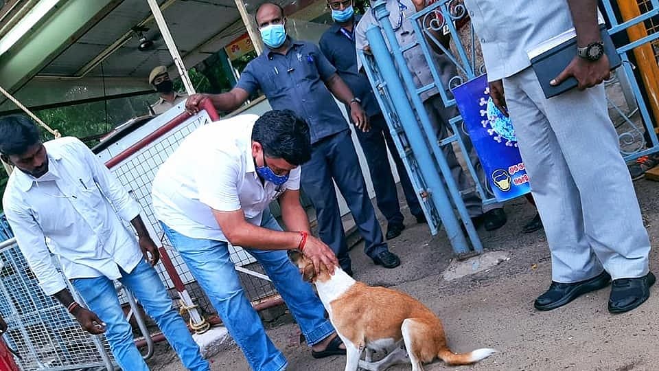 3 காலில் தத்திச் சென்ற 4 கால் குழந்தை... சிகிச்சை அளித்து புதிய நண்பராக்கிக் கொண்ட நிதியமைச்சர்!