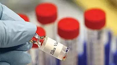  “65 இடங்களில் எடுக்கப்பட்ட கொசுக்களின் மாதிரிகளில் எதிலும் ஜிகா வைரஸ் இல்லை”: சுகாதாரத் துறை தகவல்!