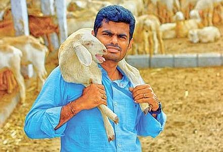 ஒத்த ஓட்டு பாஜகவை பூஜ்ய வாக்காக அண்ணாமலை மாற்ற துடிப்பது இதுக்கு தானா? : பாஜக ஆதரவாளரின் குமுறல் -சிலந்தி