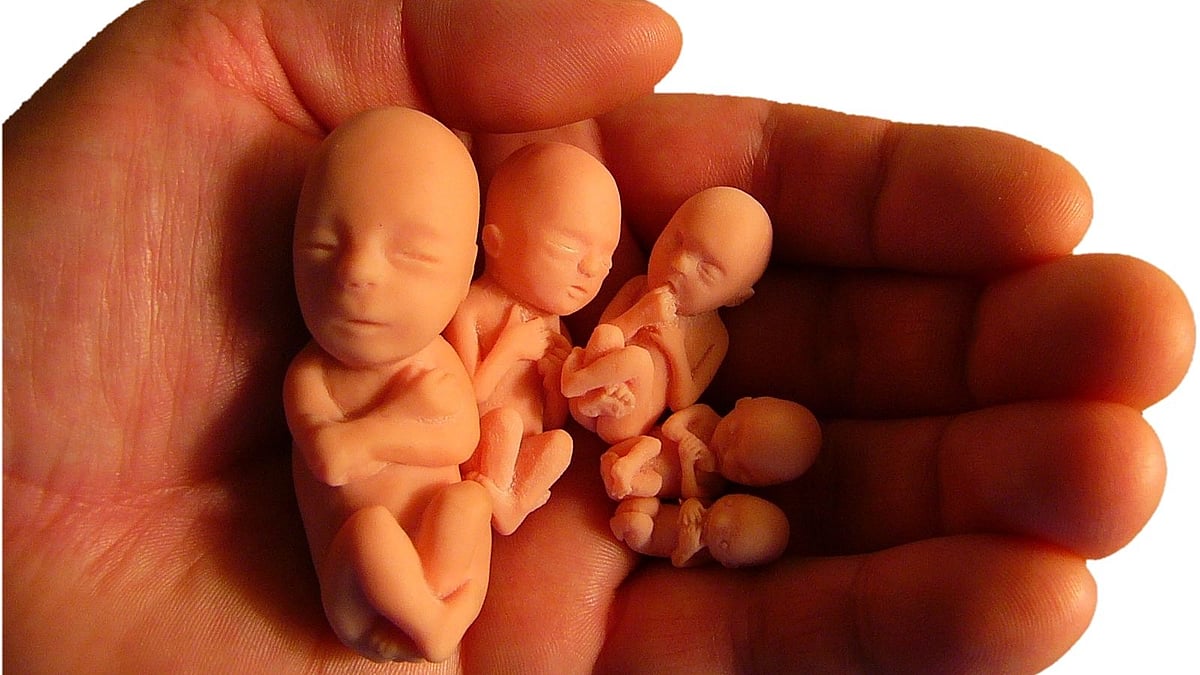 ஆண் குழந்தைக்காக 8 முறை கருவை கலைக்கச் செய்த கொடூரம்.. இதைவிட மோசமான செயலை செய்த கணவன்!