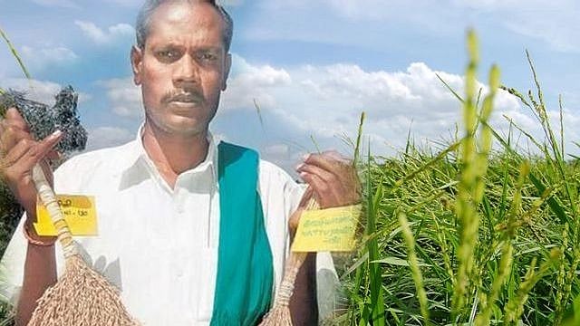 “மரபுசார் நெல் ரகங்கள் பாதுகாப்பு புதிய இயக்கம்” : நெல் ஜெயராமனின் கனவை நிறைவேற்றிய வேளாண் பட்ஜெட் !