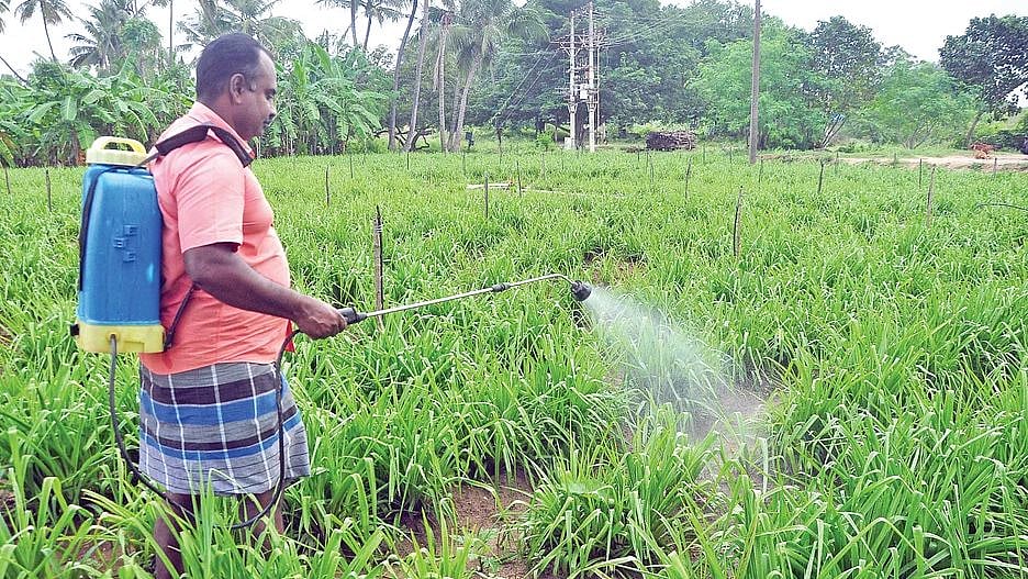 இயற்கை வேளாண் திட்டம்.. இயற்கை விவசாயிகளின் மூலம் ரசாயன உணவுகளுக்கு முற்றுப்புள்ளி வைக்கும் தி.மு.க அரசு!