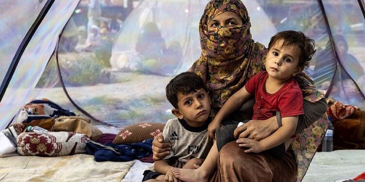 ”எங்கள் குழந்தைகள் பாலுக்குச் சாகிறார்கள்.. நீங்கள் அமைதிகாக்கிறீர்கள்”: பெண் இயக்குனர் உருக்கமான கடிதம்!