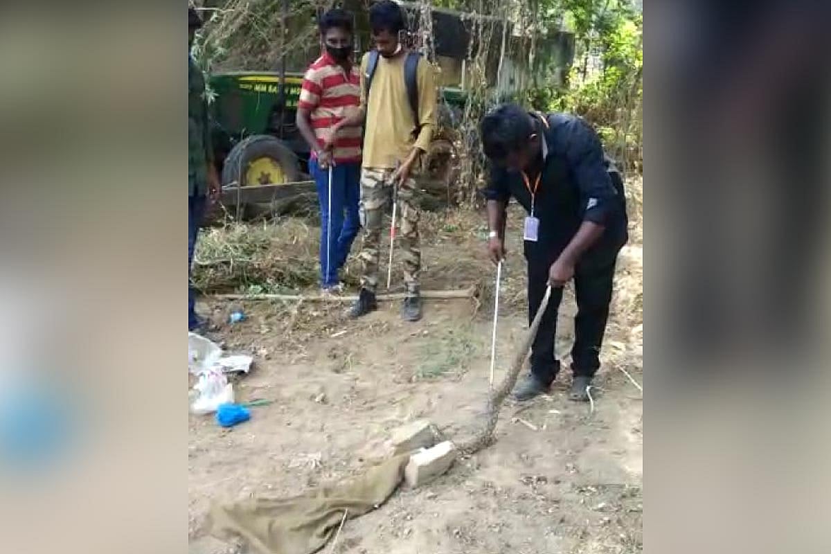 மருத்துவமனையில் பிடிபட்ட பாம்பு