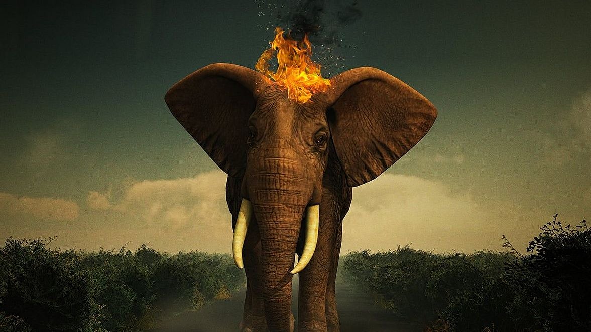 “வனத்தின் ஒப்பற்ற நாயகனாக திகழும் யானைகள்” : நாம் ஏன் யானைகளை பாதுகாக்க வேண்டும் ? - சிறப்புக் கட்டுரை!