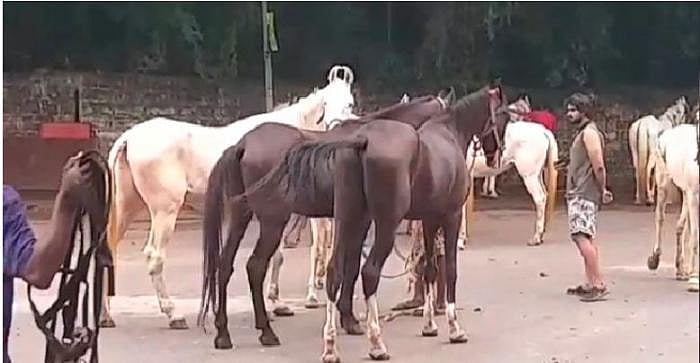 'பொன்னியின் செல்வன்' ஷூட்டிங்.. குதிரைகளை தடுத்து நிறுத்திய உ.பி போலிஸ் : நடந்தது என்ன?