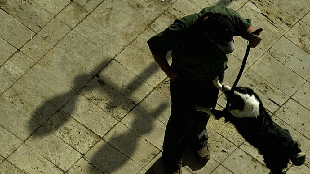 தாயை தாக்கிய மகன்.. “நன்றி உள்ள விலங்கு” என்ற பழமொழிக்கு உதாரணமாய் உரிமையாளரைக் காப்பாற்றிய நாய் !