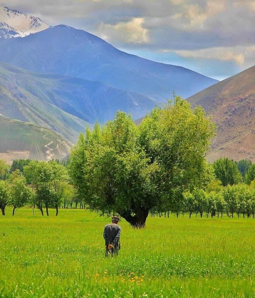 இப்படியும் ஒரு அழகு : ஊடகங்கள் காண்பிக்க மறுக்கும் ஆப்கானிஸ்தான் நாட்டின் மறுபக்கம்!