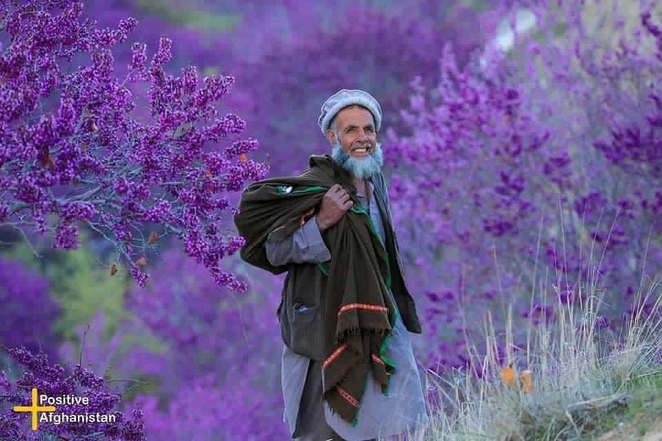 இப்படியும் ஒரு அழகு : ஊடகங்கள் காண்பிக்க மறுக்கும் ஆப்கானிஸ்தான் நாட்டின் மறுபக்கம்!