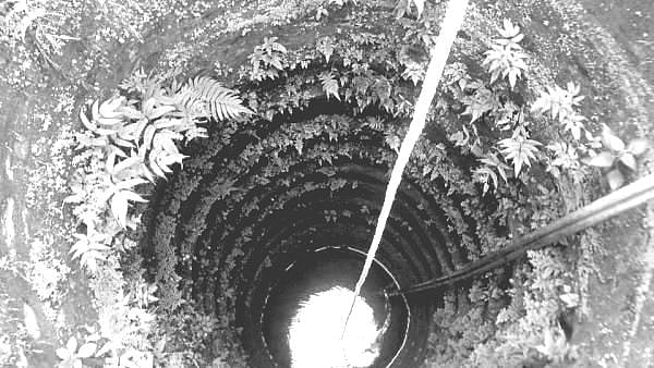 “இரட்டை குழந்தைகளை கிணற்றில் வீசிவிட்டு, தாயும் தற்கொலை முயற்சி”: தாயின் இந்த நடவடிக்கைக்கு என்ன காரணம்?